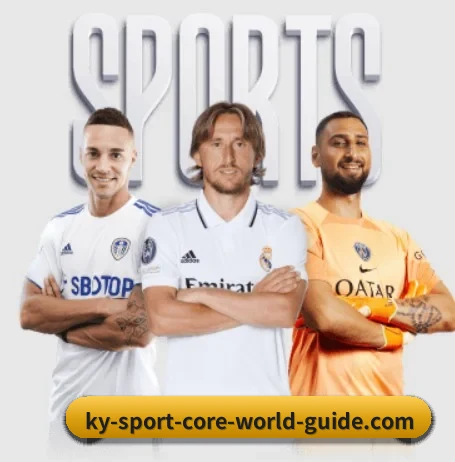 五大服务分区,信息按项目分类